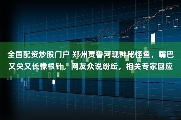 全国配资炒股门户 郑州贾鲁河现神秘怪鱼，嘴巴又尖又长像根针，网友众说纷纭，相关专家回应